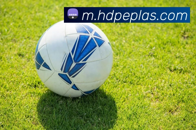 多彩内容专区